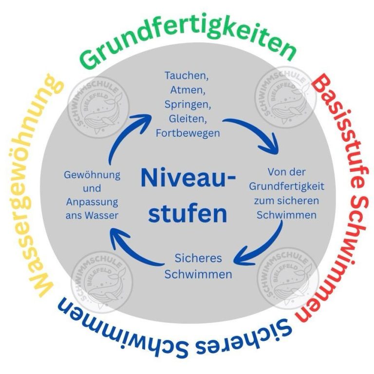 Niveaustufenkonzept der Schwimmkurse