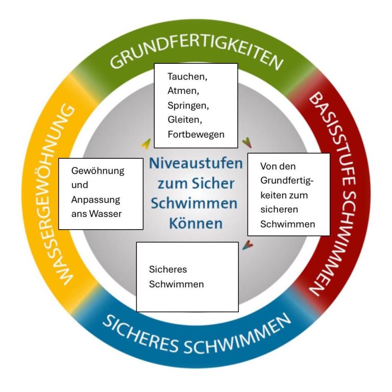 Niveaustufenkonzept der Schwimmkurse
