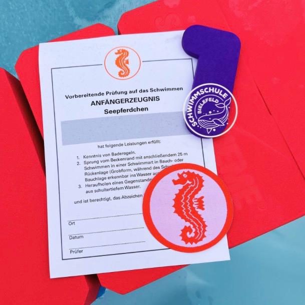 Seepferdchen Schwimmkurs in Bielefeld Seepferdchen Schwimmkurs - Schwimmschule Bielefeld