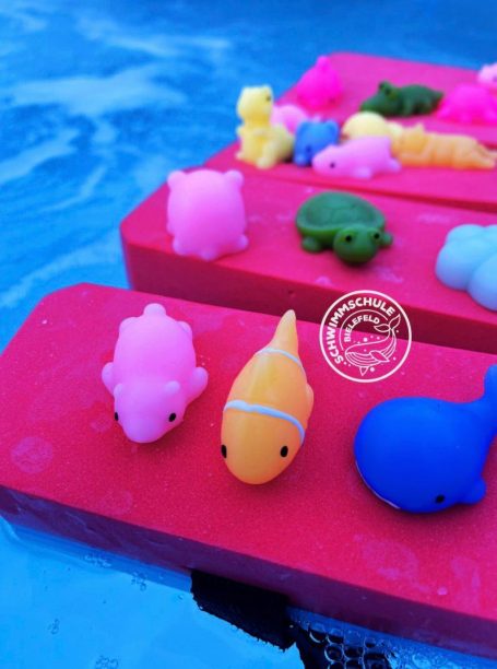 Zertifizierte Schwimmkurse in Bielefeld - Schwimmschule Bielefeld für Kinder und Erwachsene vor Ort!